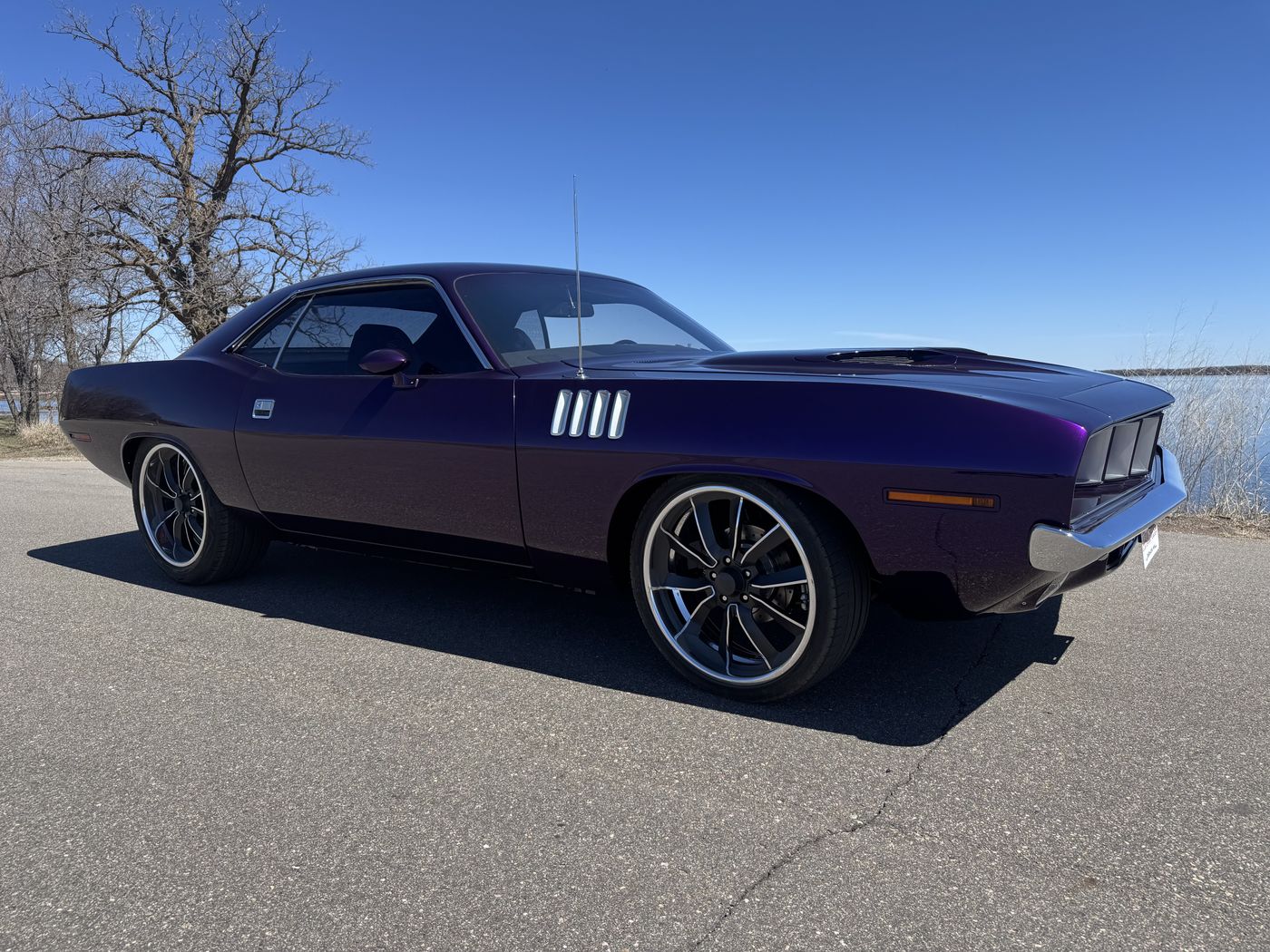 Plum coupe, finished
