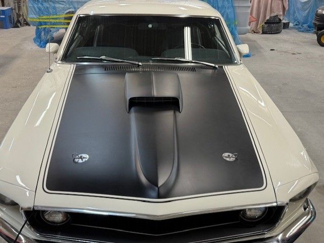 Mustang Mach 1, hood and grille